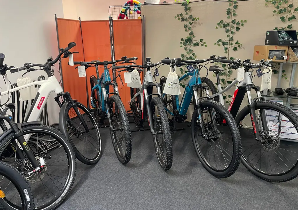 Auswahl an E-Bikes verschiedener Typen bei Kraft Bike Plochingen